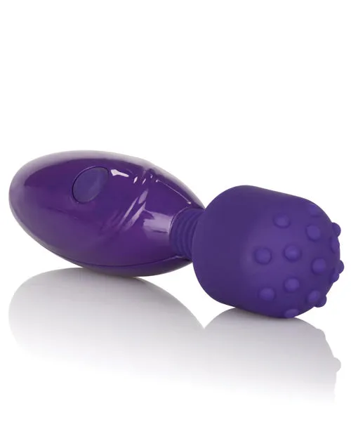Vibrators California Exotic Novelties Tiny Teasers Nubby Purple