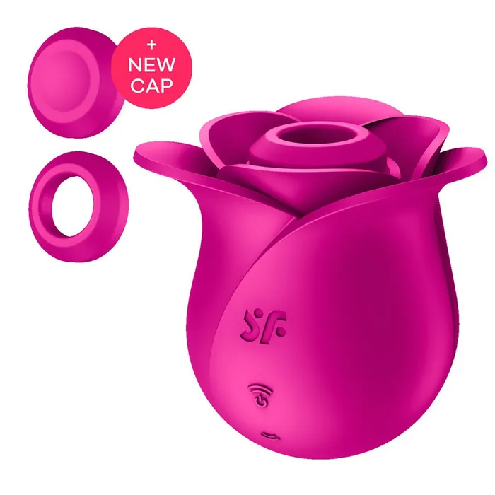 Vibrators Satisfyer Satisfyer Pro 2 Modern Blossom Pink Vibrators Satisfyer Satisfyer Pro 2 Modern Blossom Pink