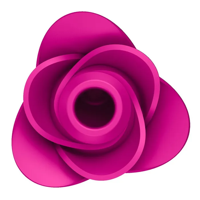 Vibrators Satisfyer Satisfyer Pro 2 Modern Blossom Pink Vibrators Satisfyer Satisfyer Pro 2 Modern Blossom Pink