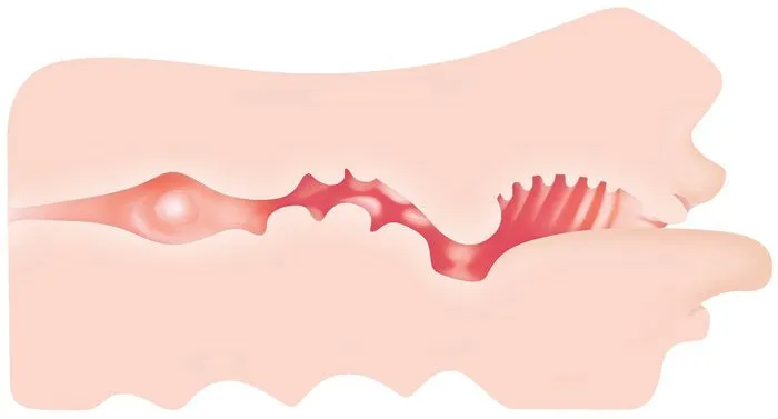 Male Sex Toys Evolved Novelties Zero Tolerance Real Mouth Stroker