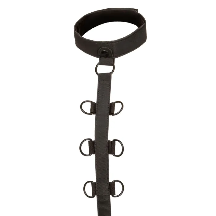 Boundless Collar Body Restraint Black CalExotics Anal Boundless Collar Body Restraint Black CalExotics Anal