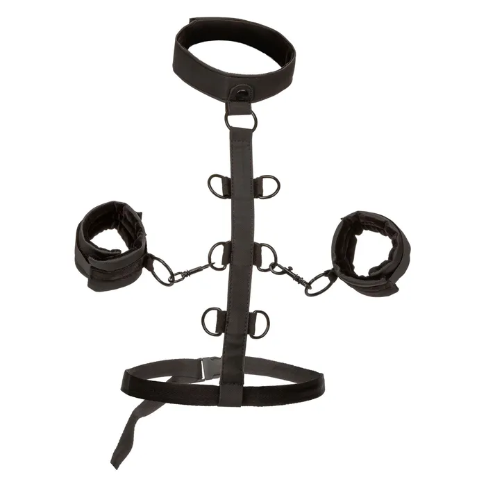 Boundless Collar Body Restraint Black CalExotics Anal Boundless Collar Body Restraint Black CalExotics Anal