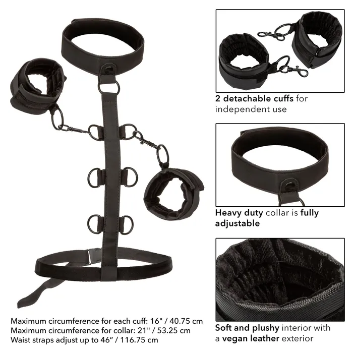 Boundless Collar Body Restraint Black CalExotics Anal Boundless Collar Body Restraint Black CalExotics Anal