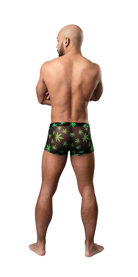 Hazy Dayz Pouch Short Medium Pot Leaf Male Power Male Sex Toys Hazy Dayz Pouch Short Medium Pot Leaf Male Power Male Sex Toys