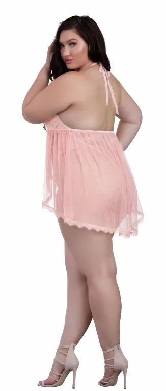 Dream Girl Lingerie Teddy Dmd One Size Queen Teddies And Bodies