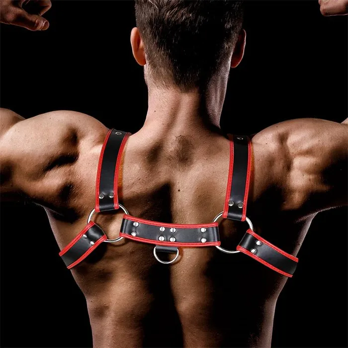 Female Sex Toys Male Chest Harness Odiseo Love Cherry