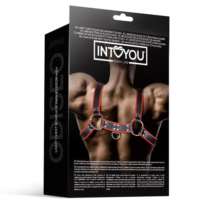Female Sex Toys Male Chest Harness Odiseo Love Cherry
