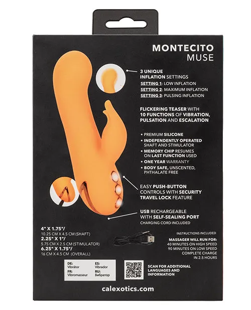CalExotics Vibrators California Dream Montecito Muse Dual Stimulation Vibe