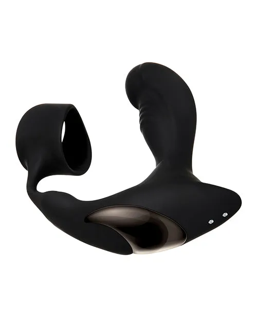 Evolved Anal Zero Tolerance Strapped Tapped Rechargeable Prostate Vibrator