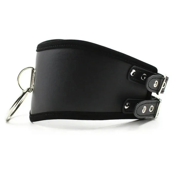 Plesur Posture Collar PleSur Vibrators