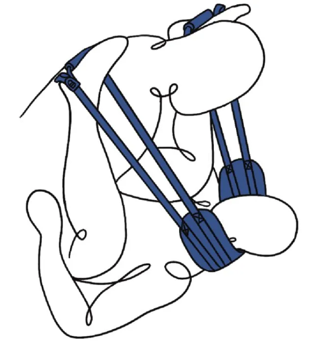 Sportsheets Female Sex Toys Sportsheets Pivot Deluxe Doggie Strap