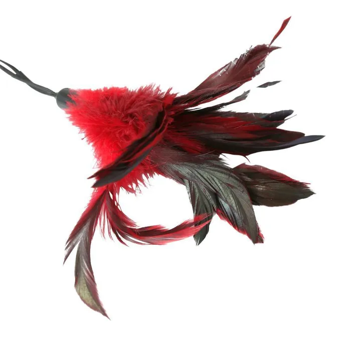 Vibrators Sportsheets Sportsheets Pleasure Feather Red