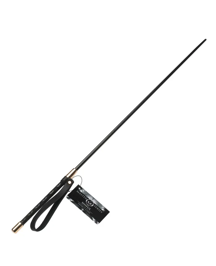 XR Brands Master Series Sinful Impact Cane Male Sex Toys
